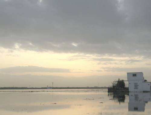 Reportaje sobre la Albufera de València para Las Provincias