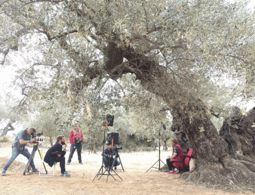 Preparant “Terres de cinema” per a À Punt