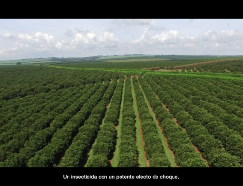 Spot para Pirecris de Seipasa