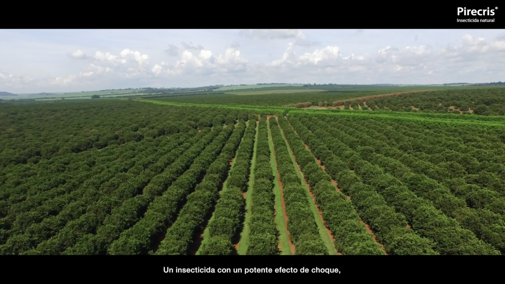 Imagen del spot realizado para Pirecris de Seipasa