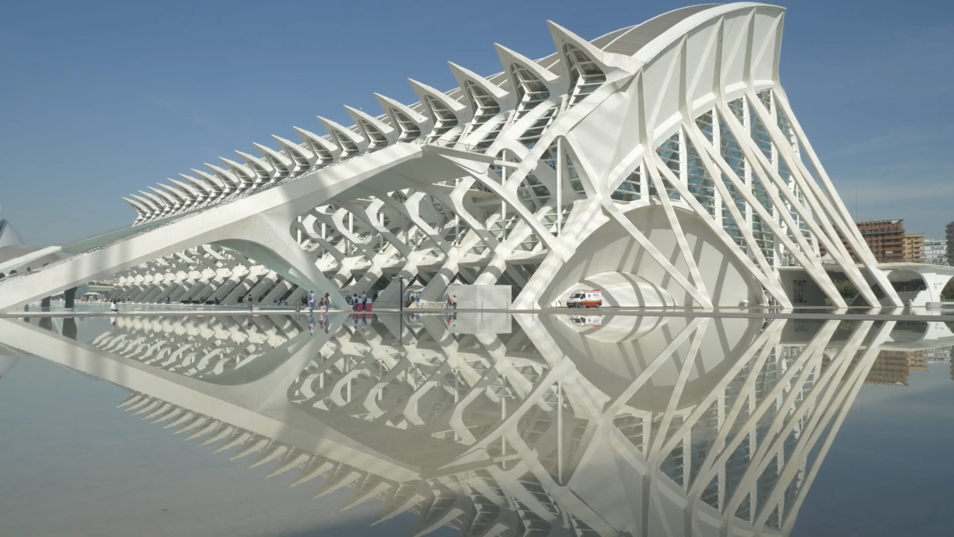 Video Aviadev Europa 2019