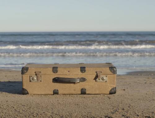 Documental web Exilis